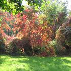 Leuchtende Farben im Herbst