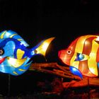 Leuchtende Fische