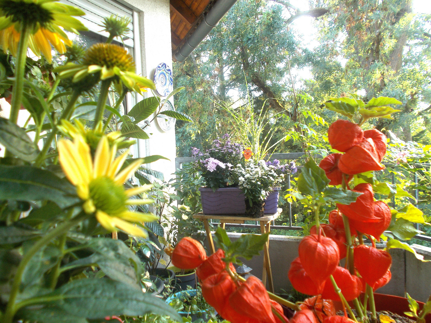 Leuchtende Herbstboten