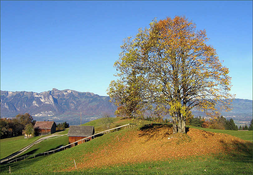 "Leuchtende Herbstfarben ... 2 ..."