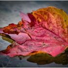 leuchtende Herbstfarben