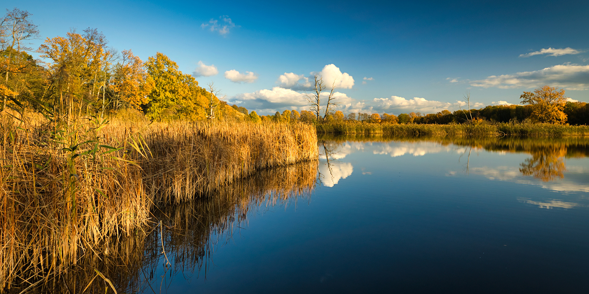 Leuchtende Herbstfarben