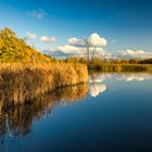 Leuchtende Herbstfarben