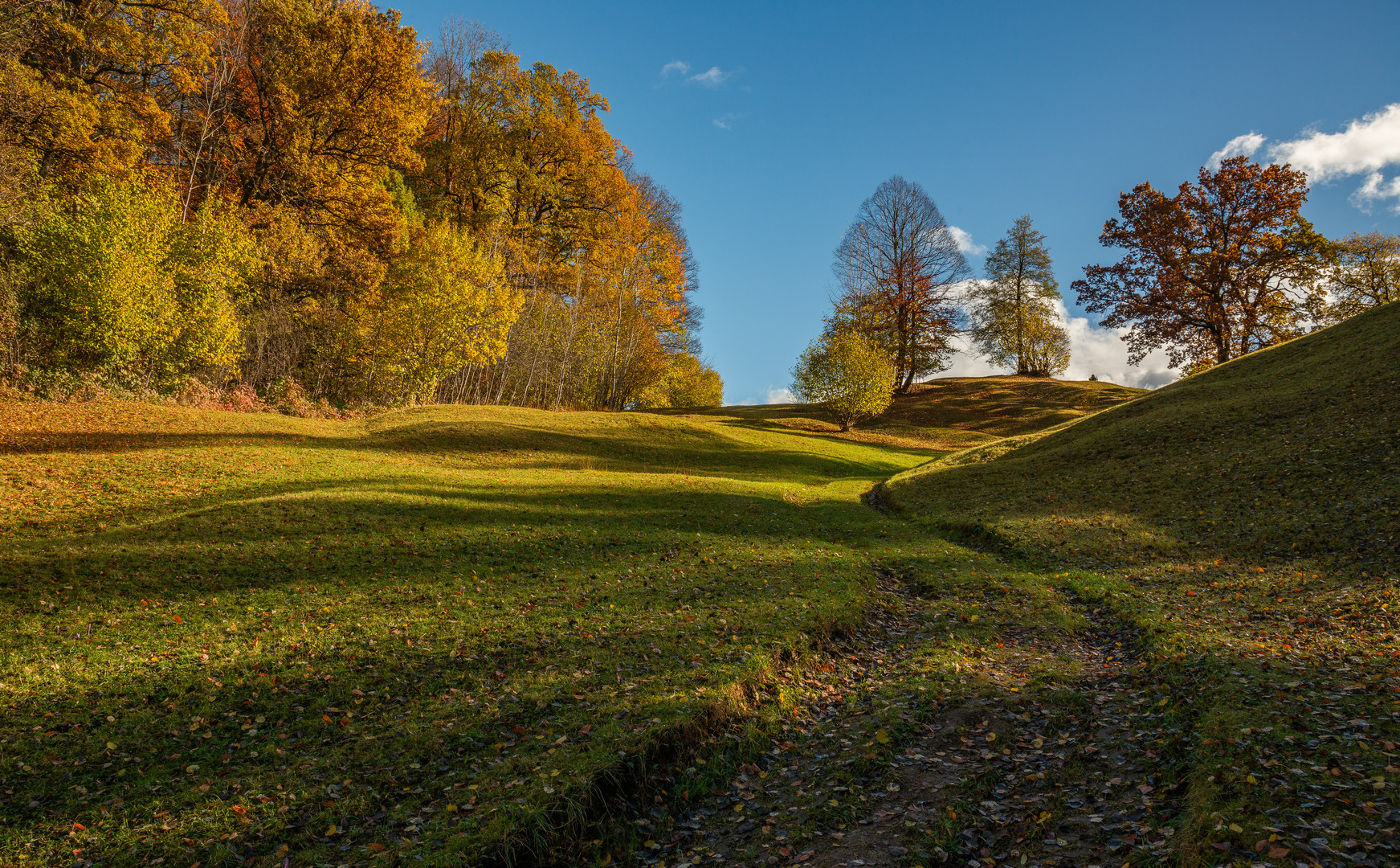 Leuchtende Herbstfarben