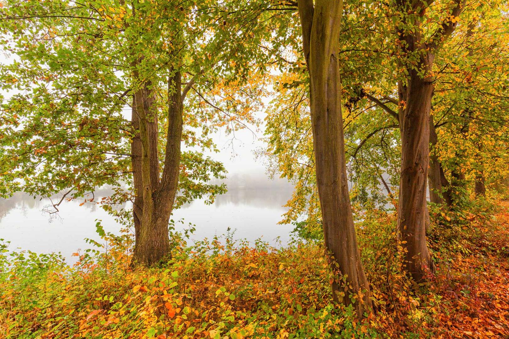 leuchtende Herbstfarben