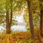 leuchtende Herbstfarben