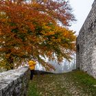 Leuchtende Herbstfarben