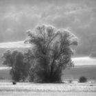 leuchtende Landschaft