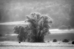 leuchtende Landschaft