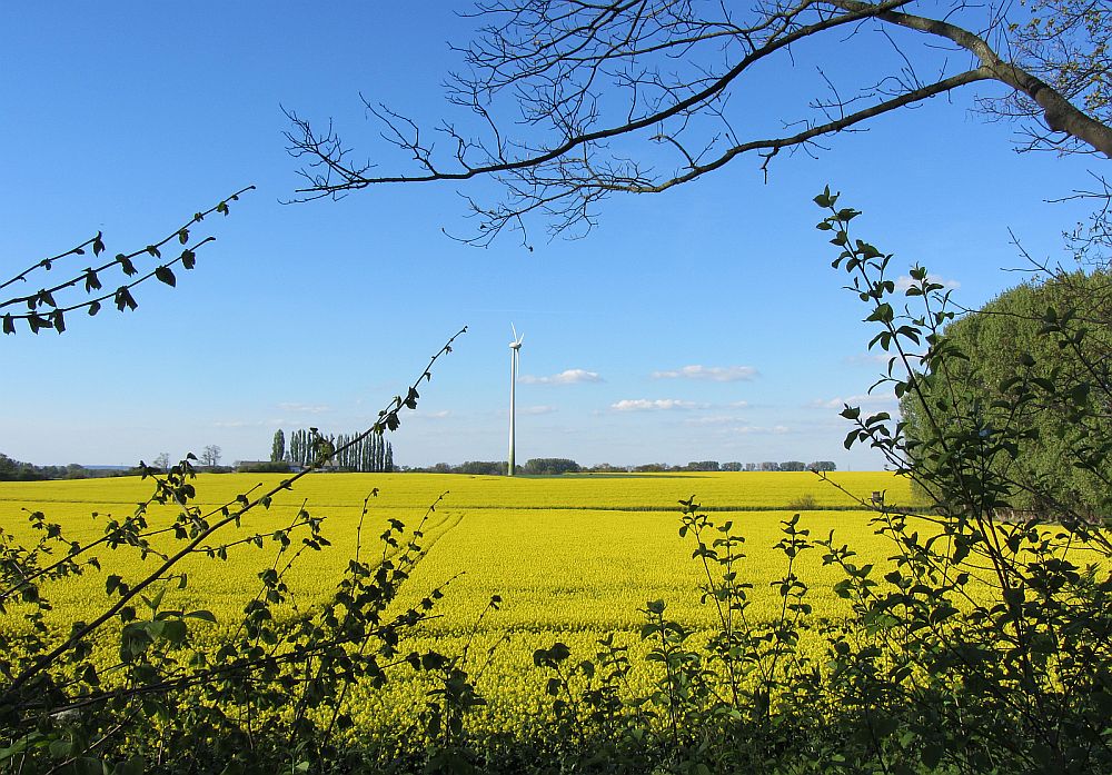 Leuchtende Landschaft