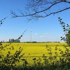 Leuchtende Landschaft