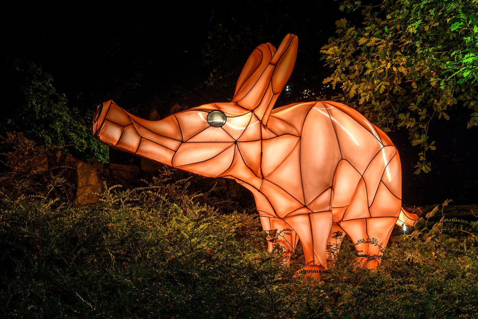 Leuchtende Lichter, Zoo Osnabrück