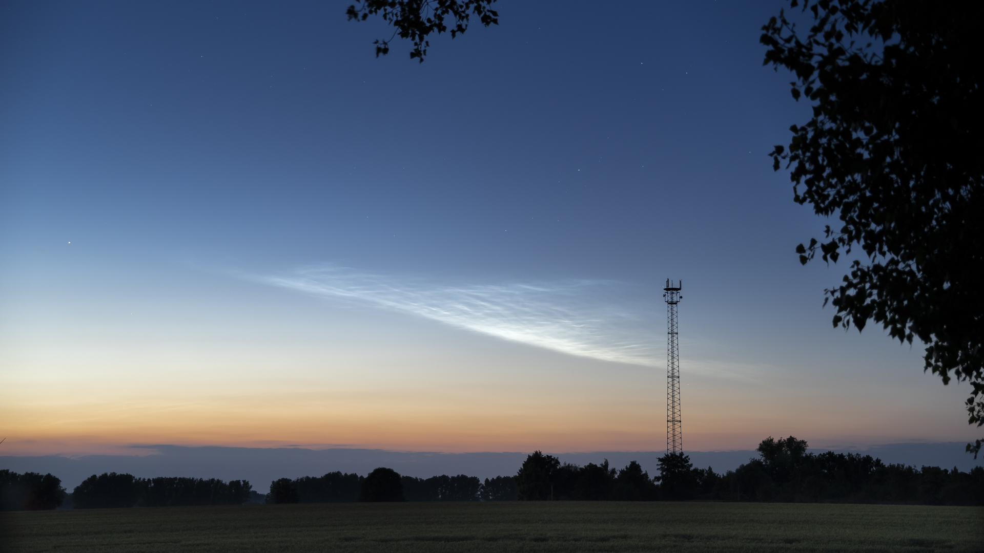 Leuchtende Nachtwolken (NLC) 24.06.2023