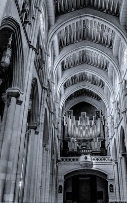 leuchtende Orgelpfeiffen 