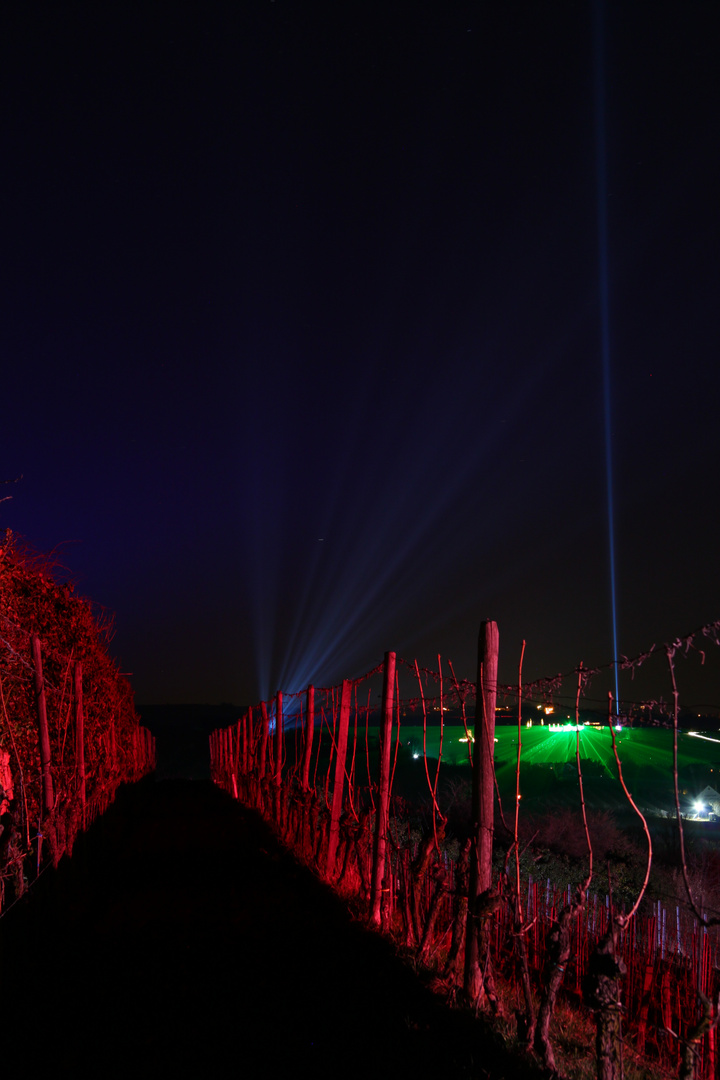 leuchtende Weinberge