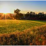 Leuchtende Wiesen  -  Sommer in O-Tal  XX