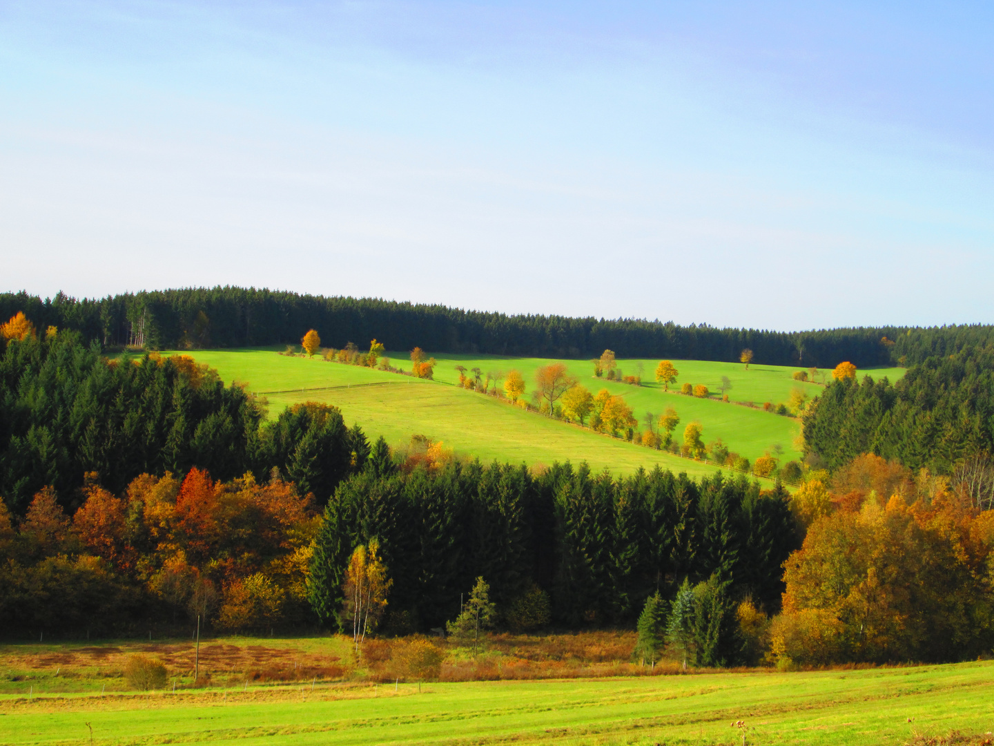 leuchtende Wiesen zwischen Setzen und Unglinghausen