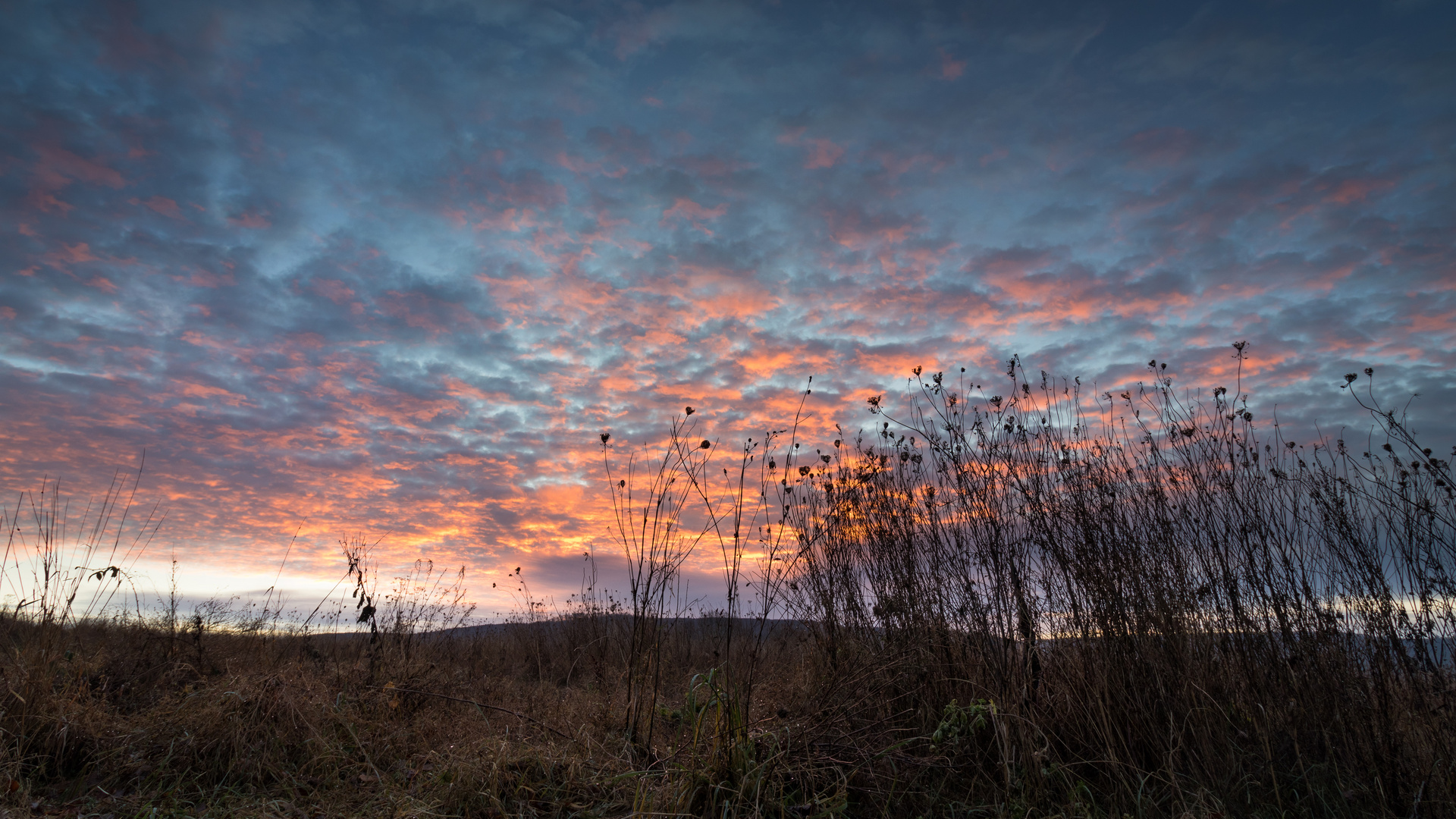 Leuchtende Wolken