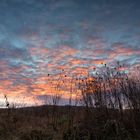 Leuchtende Wolken