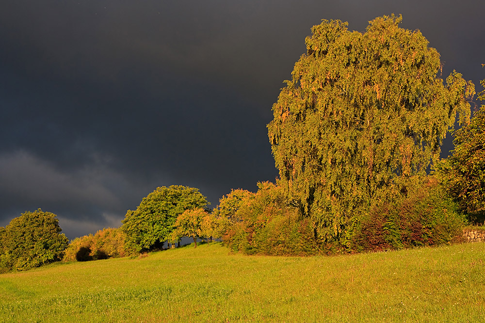 Leuchtender Abschied