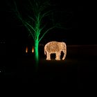 Leuchtender Elefant