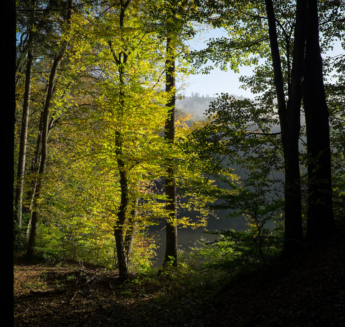 Leuchtender Frühherbst