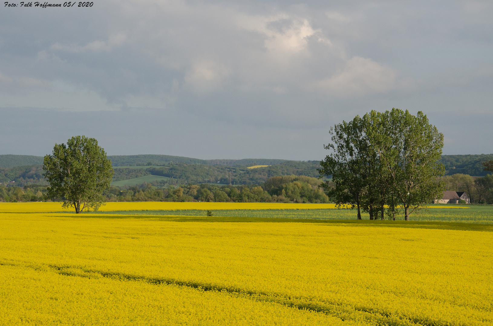 Leuchtender Frühling