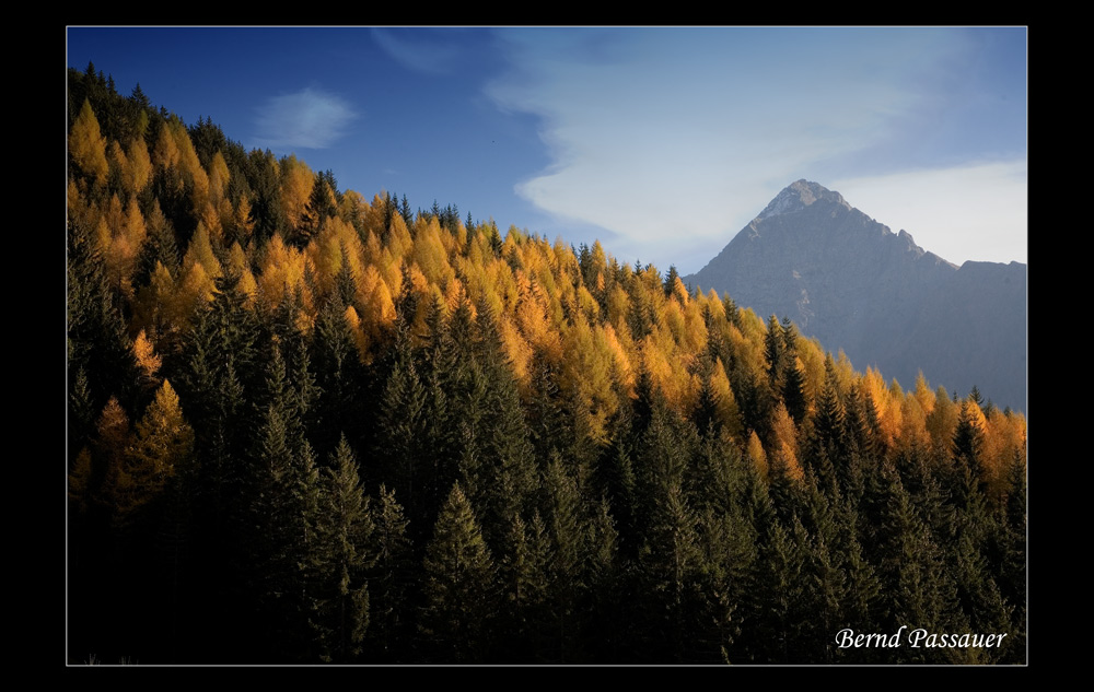 Leuchtender Herbst