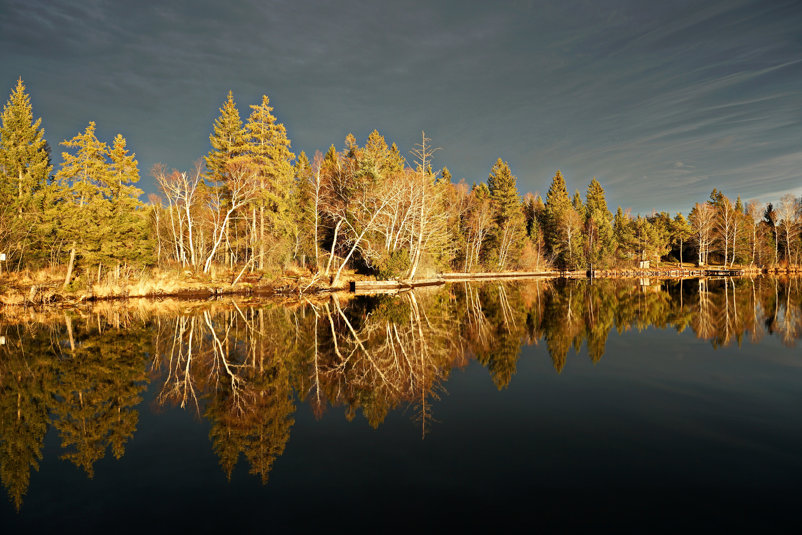 Leuchtender Herbst