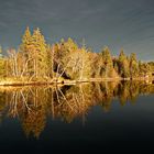 Leuchtender Herbst