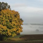 Leuchtender Herbst