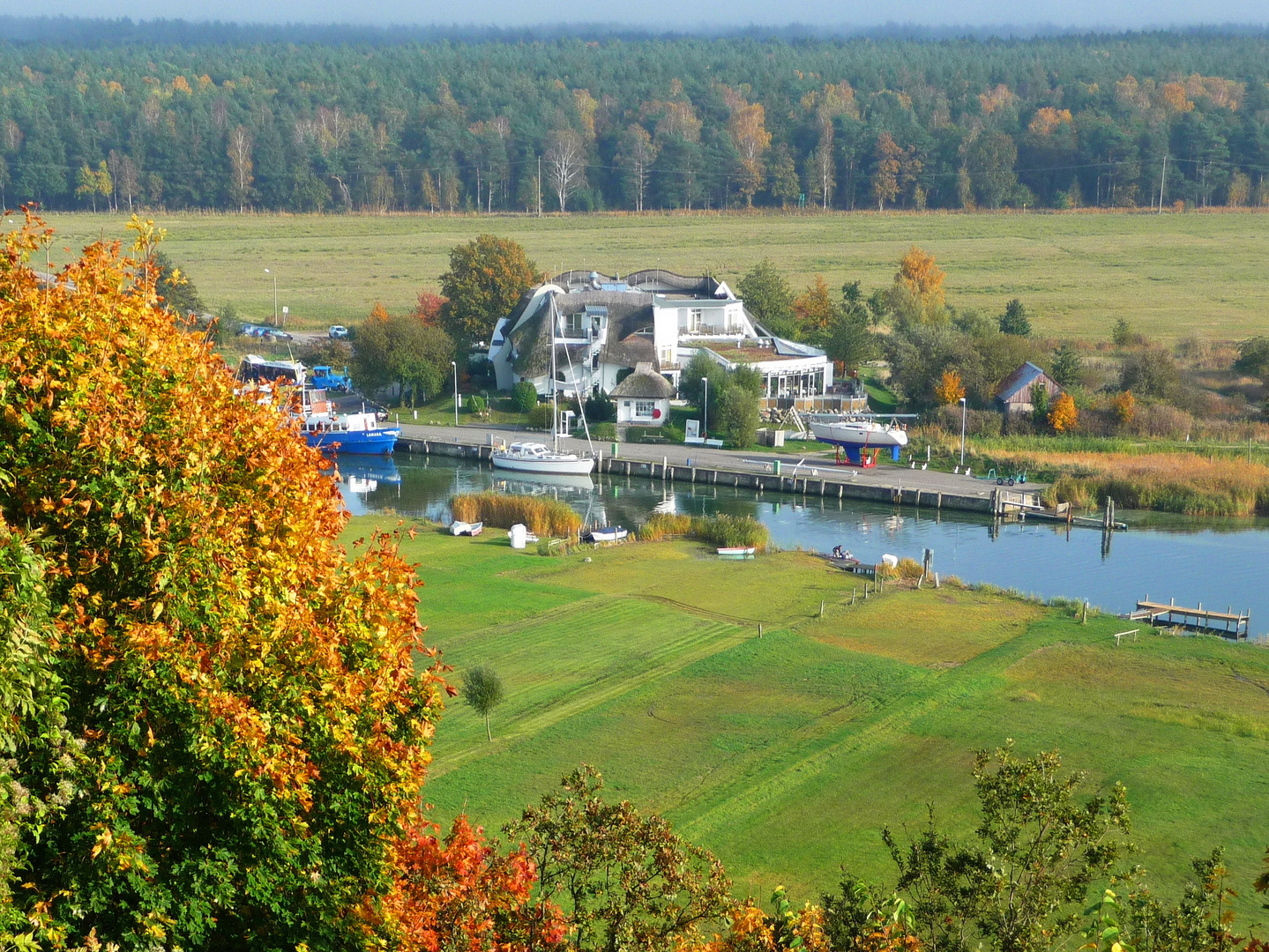 Leuchtender Herbst