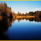 Leuchtender Herbst am Schönauer Weiher