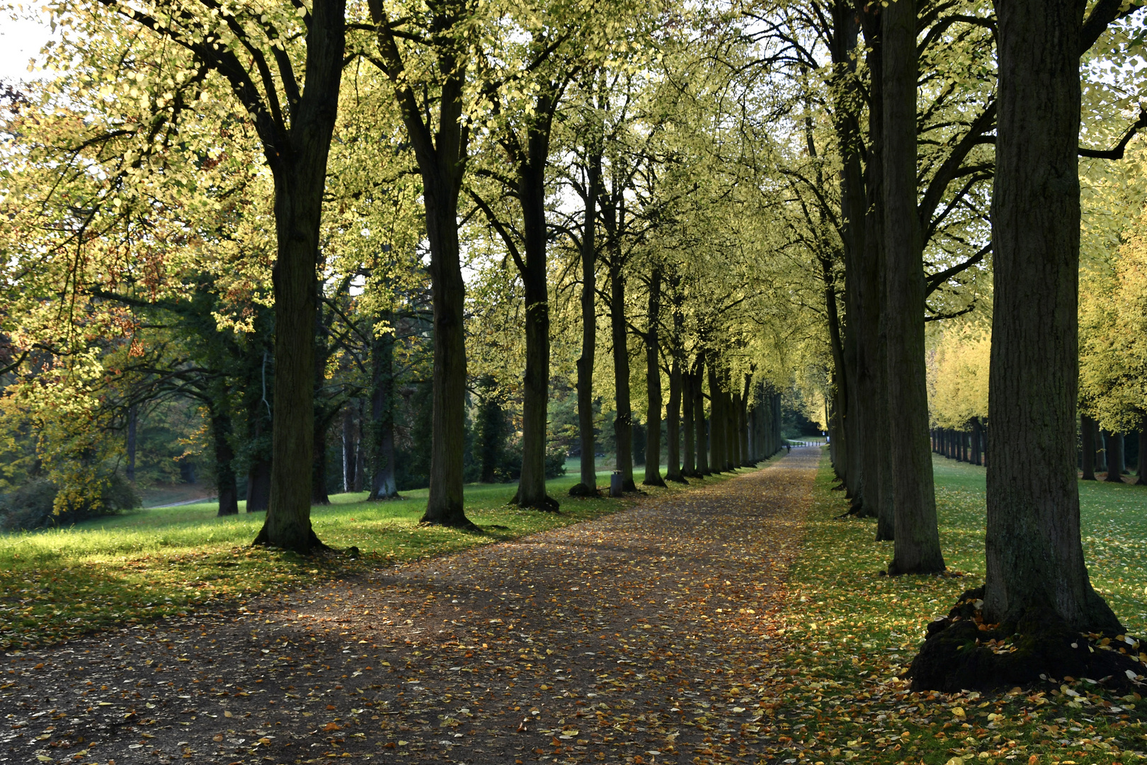 Leuchtender Herbst