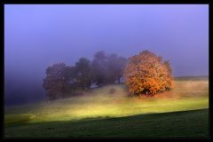 Leuchtender Herbst