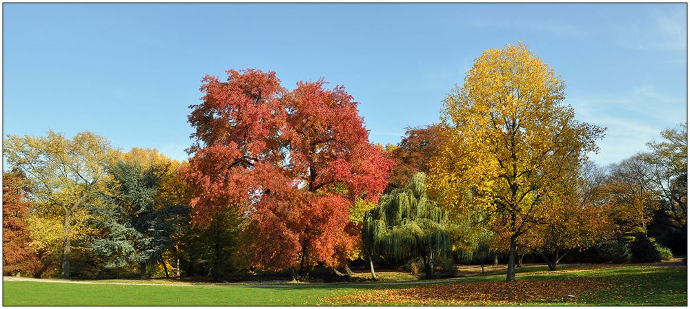 Leuchtender Herbst im Florapark