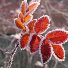 Leuchtender Herbst mit einem ersten Hauch von Winter