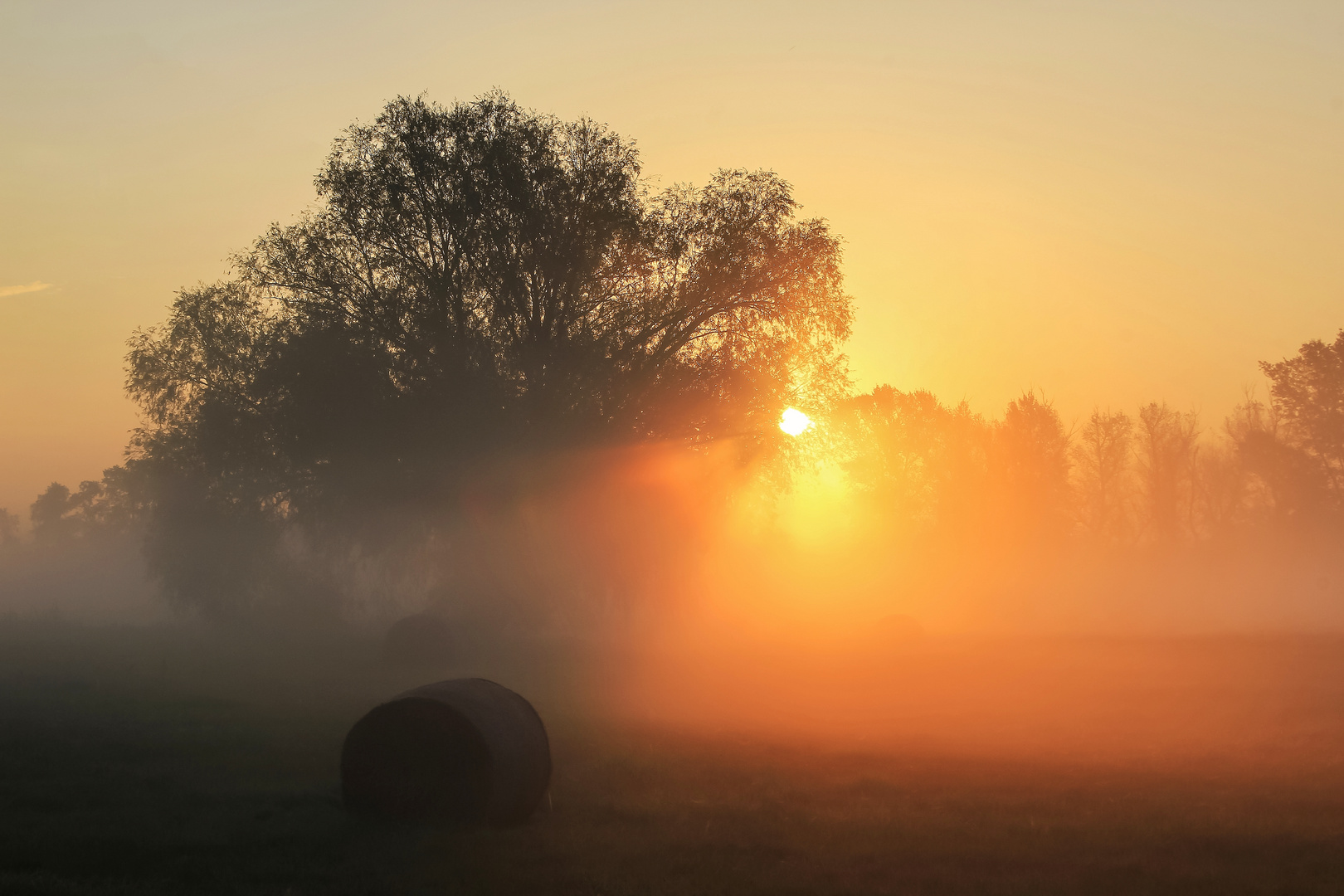 Leuchtender Herbstmorgen