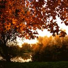 Leuchtender Herbstmorgen ...