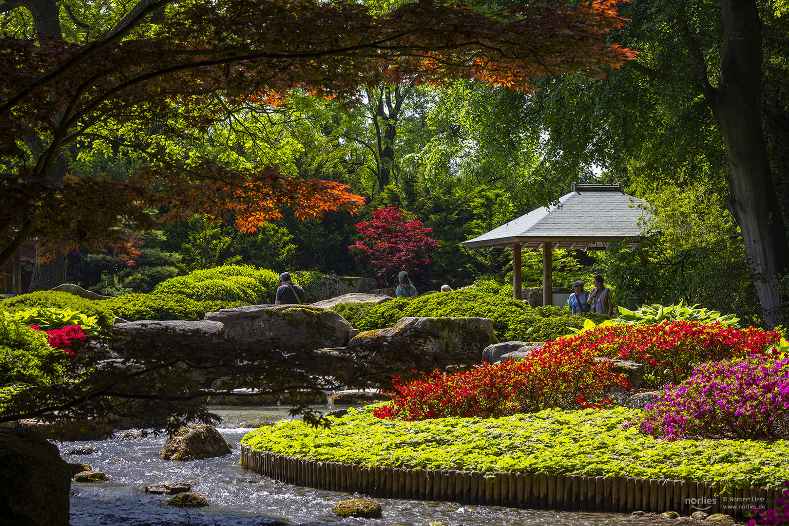 Leuchtender Japangarten