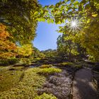 Leuchtender Japangarten