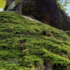 Leuchtender Moos-Felsen im Siebengebirge