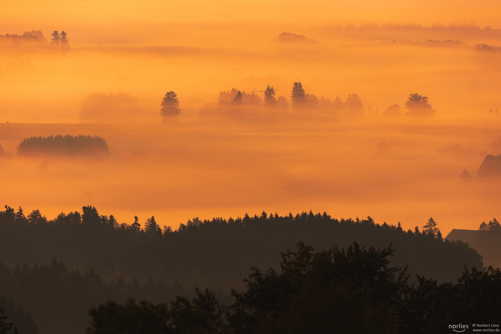 Leuchtender Morgennebel