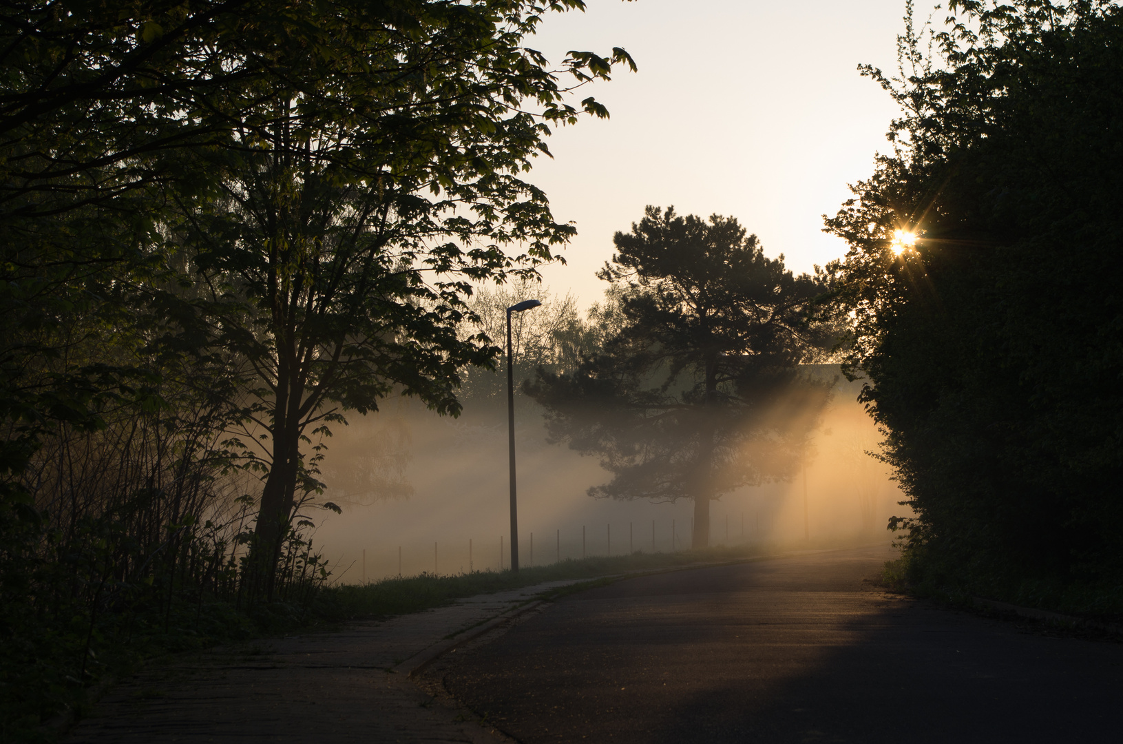 Leuchtender Nebel