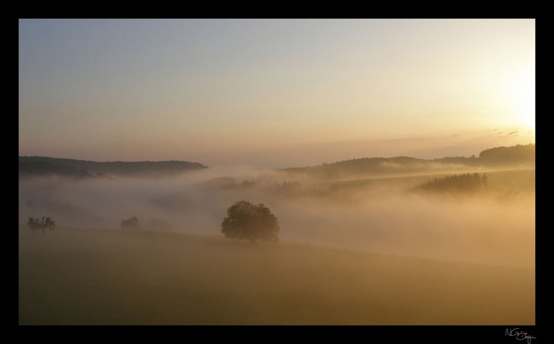 leuchtender Nebel...