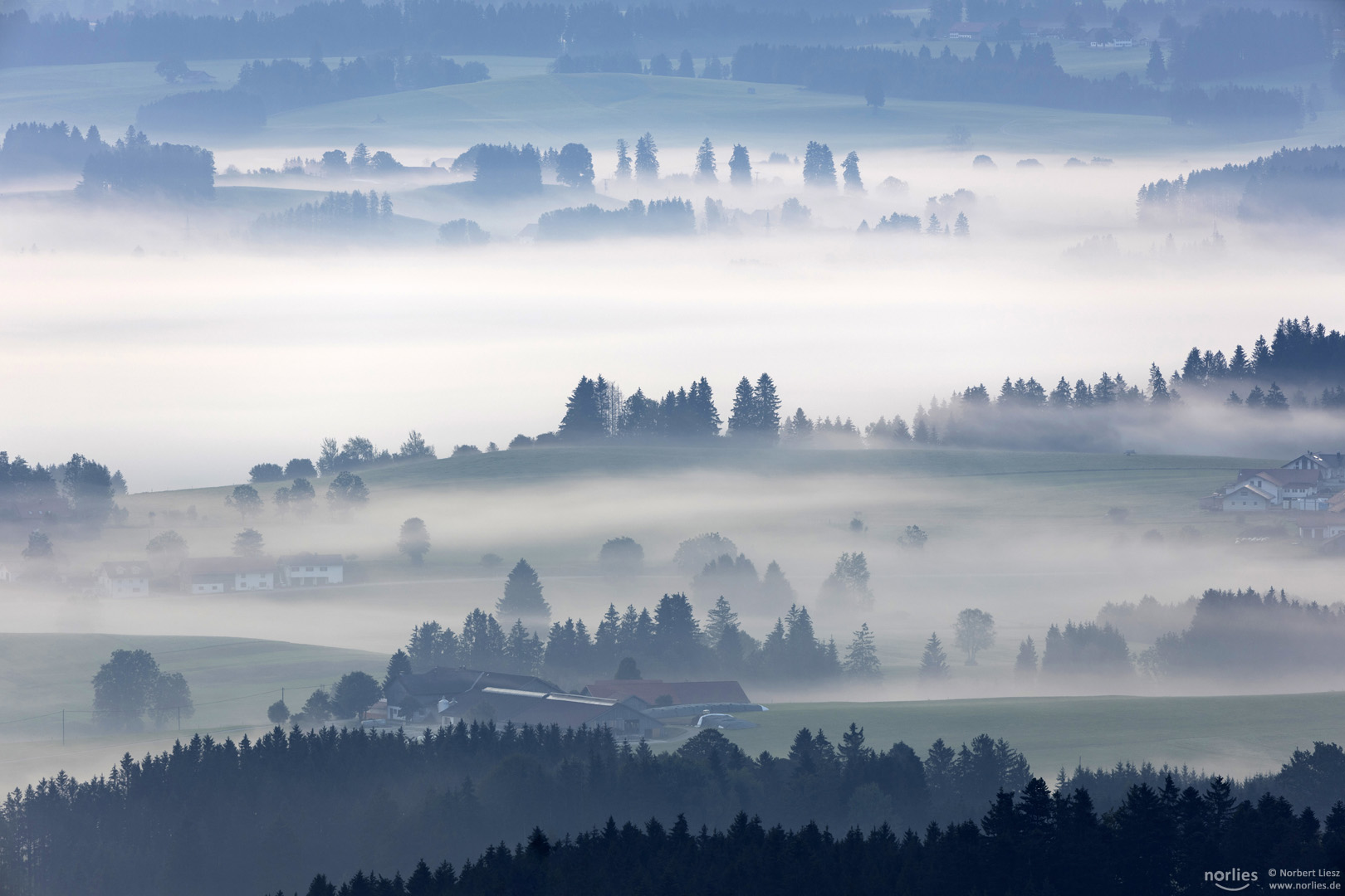 Leuchtender Nebel