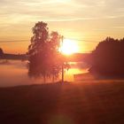 Leuchtender Nebel  Sommersonnenaufgang