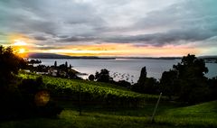 leuchtender Untersee