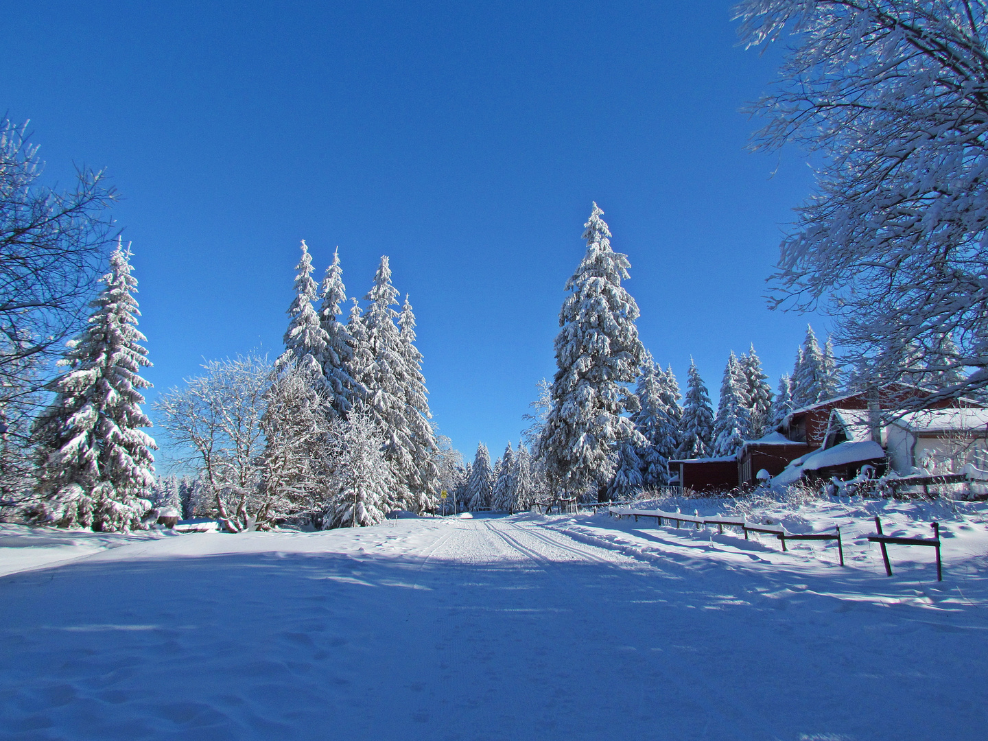 Leuchtender Winter im Harz