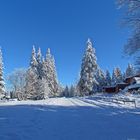 Leuchtender Winter im Harz